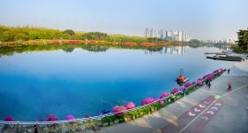 베스트갤러리 - 호수 공원