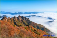 베스트갤러리 - 만추의 구봉산