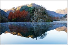 베스트갤러리 - 물통골