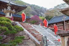 베스트갤러리 - 修養의 길......