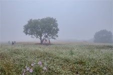 베스트갤러리 - 함안 뚝방에서