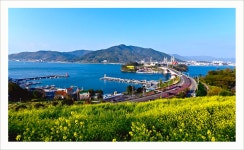 베스트갤러리 - 여행길에서