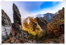 베스트갤러리 - 아름다운 설악