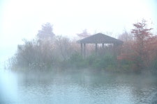 베스트갤러리 - 생태공원