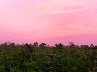 베스트갤러리 - 학원농장 여명