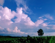 베스트갤러리 - 오늘도 좋은하루!!!