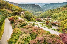 베스트갤러리 - 꼬부랑길...