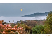 베스트갤러리 - 새벽달