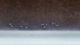 베스트갤러리 - 돌아오기 힘든 경안천