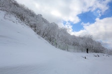 베스트갤러리 - 설악 한계령 에서