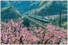 베스트갤러리 - 고향 가는 길_2020