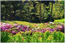 베스트갤러리 - 맑은 아침햇살이~