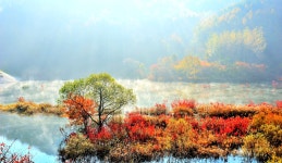 베스트갤러리 - 물안개 피는 용담호