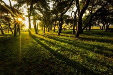 베스트갤러리 - 아침빛이 조은날