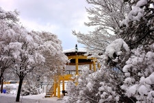 베스트갤러리 - 함박눈