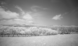 베스트갤러리 - 한라산을 바라보면서