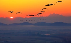 베스트갤러리 - 파주 북한산