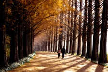 베스트갤러리 - 담양