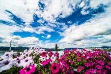 베스트갤러리 - 소양강처녀상과 하늘