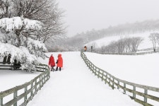 베스트갤러리 - 대관령