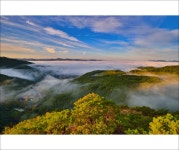 베스트갤러리 - 아름다운 강산