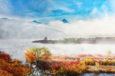 베스트갤러리 - 생태 공원