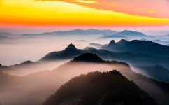 베스트갤러리 - 여 명