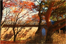 베스트갤러리 - 한국의 美