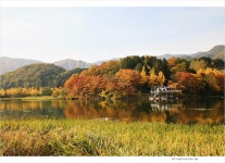 베스트갤러리 - 금대리의가을
