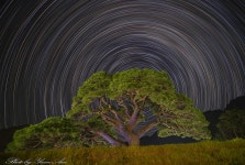 베스트갤러리 - 별이 빛나는 밤에