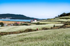 베스트갤러리 - 선학동