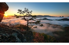 베스트갤러리 - 투구봉 일출