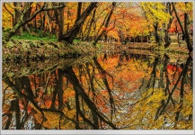 베스트갤러리 - 도솔천의 가을