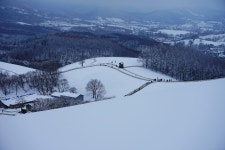 베스트갤러리 - 양떼목장