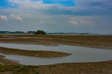 베스트갤러리 - 황산도