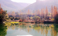 베스트갤러리 - 만추의 오봉제