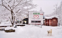 베스트갤러리 - 차 한잔 하려 오세요