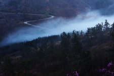 베스트갤러리 - 길