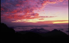 베스트갤러리 - 추억 속으로...