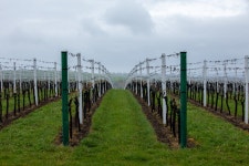 베스트갤러리 - 남모라비아,생명을 품다