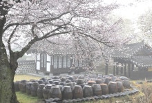 베스트갤러리 - 동헌의 아침