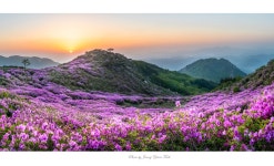 베스트갤러리 - 황매산 천상화원