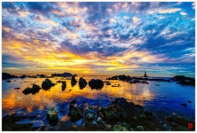 베스트갤러리 - 송대말의 아침_2020