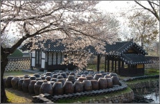 베스트갤러리 - 대흥 도원