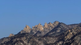 베스트갤러리 - 오봉