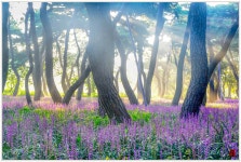 베스트갤러리 - 황성공원_2020