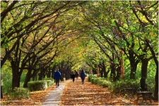 베스트갤러리 - 안양천 산책로
