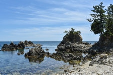 베스트갤러리 - 신남 해신당해안