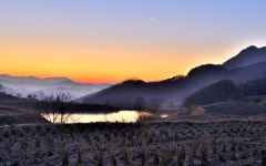 베스트갤러리 - 여 명