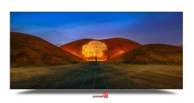 베스트갤러리 - 대릉원 목련...